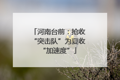 河南台前：抢收“突击队”为夏收“加速度”