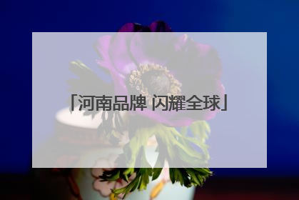 河南品牌 闪耀全球