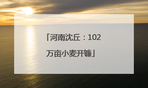 河南沈丘：102 万亩小麦开镰
