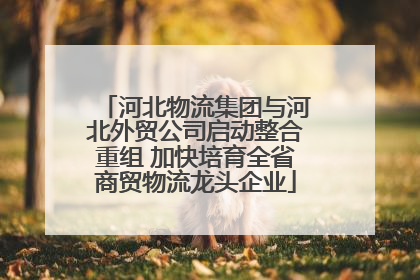 河北物流集团与河北外贸公司启动整合重组 加快培育全省商贸物流龙头企业