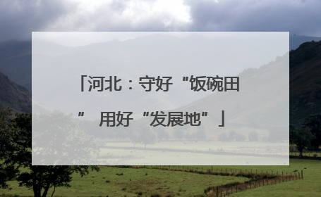 河北：守好“饭碗田” 用好“发展地”