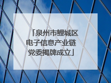 泉州市鲤城区电子信息产业链党委揭牌成立