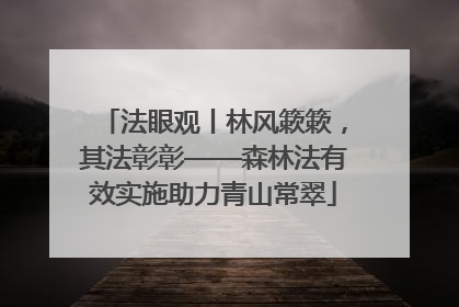 法眼观丨林风簌簌，其法彰彰——森林法有效实施助力青山常翠