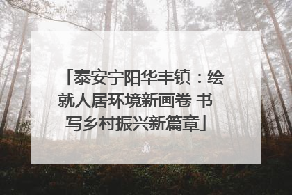 泰安宁阳华丰镇：绘就人居环境新画卷 书写乡村振兴新篇章