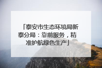 泰安市生态环境局新泰分局：靠前服务，精准护航绿色生产
