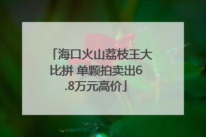 海口火山荔枝王大比拼 单颗拍卖出6.8万元高价
