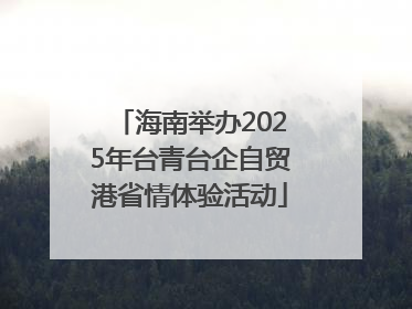 海南举办2025年台青台企自贸港省情体验活动
