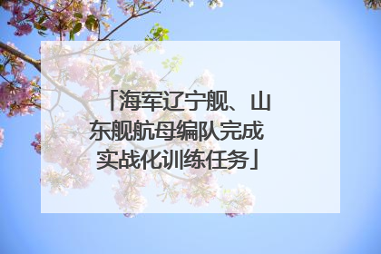 海军辽宁舰、山东舰航母编队完成实战化训练任务