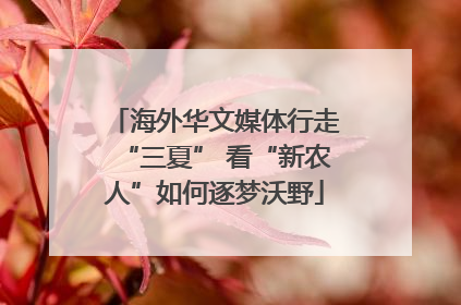 海外华文媒体行走“三夏” 看“新农人”如何逐梦沃野