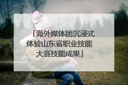 海外媒体团沉浸式体验山东省职业技能大赛技能成果
