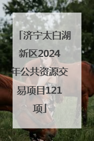 济宁太白湖新区2024年公共资源交易项目121项