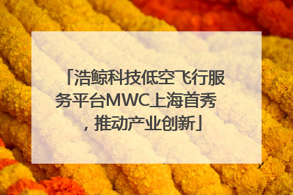 浩鲸科技低空飞行服务平台MWC上海首秀，推动产业创新