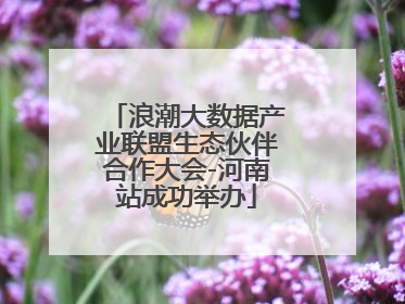 浪潮大数据产业联盟生态伙伴合作大会-河南站成功举办