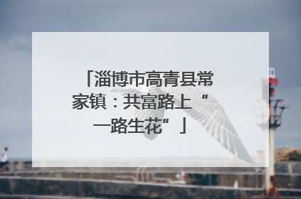 淄博市高青县常家镇：共富路上“一路生花”