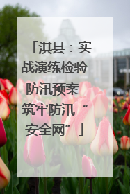 淇县：实战演练检验防汛预案 筑牢防汛“安全网”