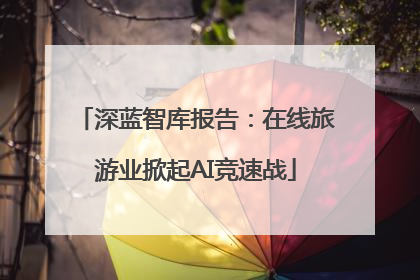 深蓝智库报告：在线旅游业掀起AI竞速战