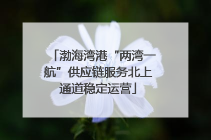 渤海湾港“两湾一航”供应链服务北上通道稳定运营
