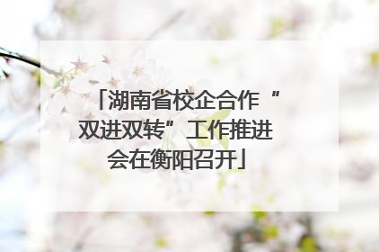 湖南省校企合作“双进双转”工作推进会在衡阳召开