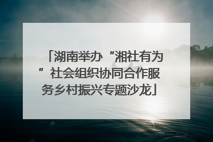 湖南举办“湘社有为”社会组织协同合作服务乡村振兴专题沙龙