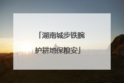 湖南城步铁腕护耕地保粮安