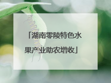 湖南零陵特色水果产业助农增收