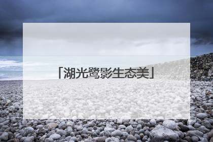 湖光鹭影生态美