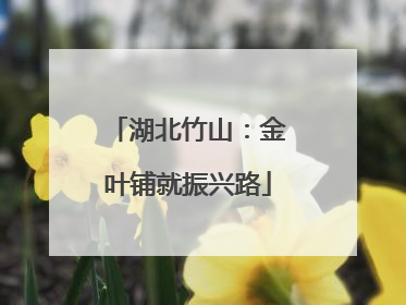 湖北竹山：金叶铺就振兴路