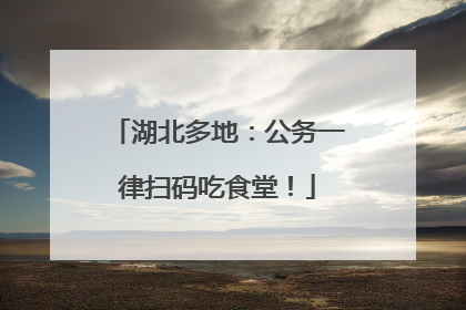 湖北多地：公务一律扫码吃食堂！