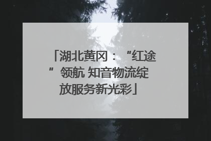 湖北黄冈：“红途”领航 知音物流绽放服务新光彩