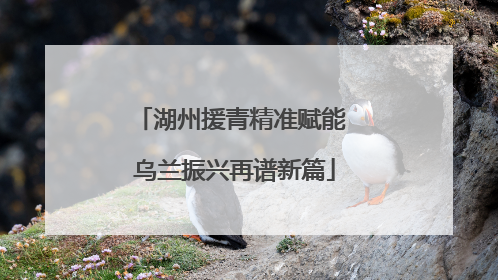 湖州援青精准赋能 乌兰振兴再谱新篇
