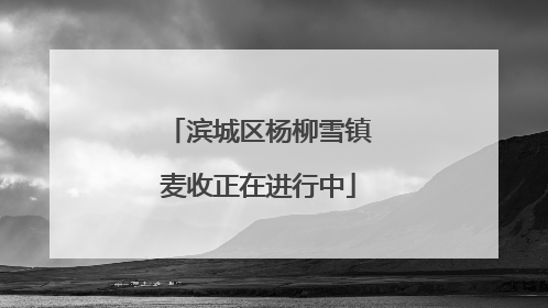 滨城区杨柳雪镇麦收正在进行中