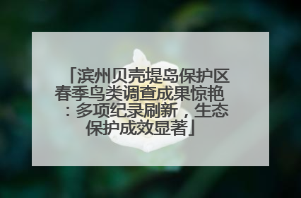 滨州贝壳堤岛保护区春季鸟类调查成果惊艳：多项纪录刷新，生态保护成效显著
