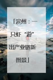 滨州：一只虾“游”出产业链新图景