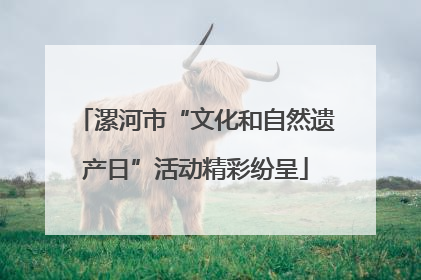 漯河市“文化和自然遗产日”活动精彩纷呈