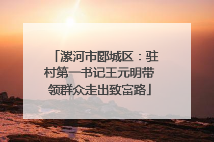 漯河市郾城区：驻村第一书记王元明带领群众走出致富路