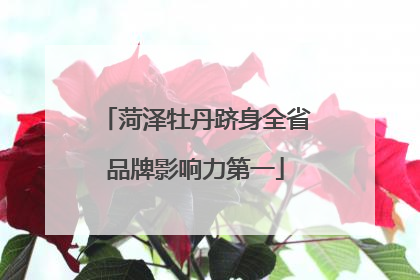 菏泽牡丹跻身全省品牌影响力第一