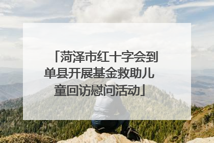 菏泽市红十字会到单县开展基金救助儿童回访慰问活动