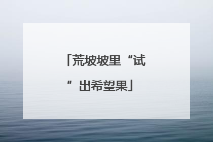 荒坡坡里“试”出希望果