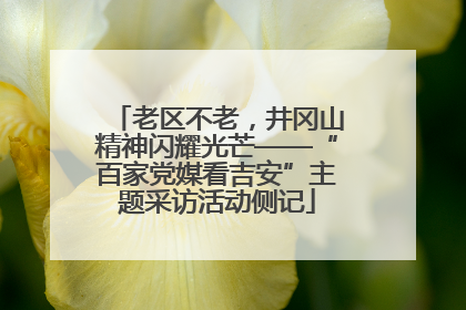 老区不老，井冈山精神闪耀光芒——“百家党媒看吉安”主题采访活动侧记