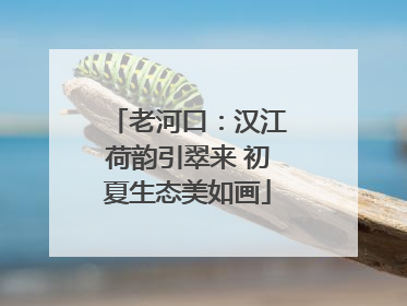 老河口：汉江荷韵引翠来 初夏生态美如画
