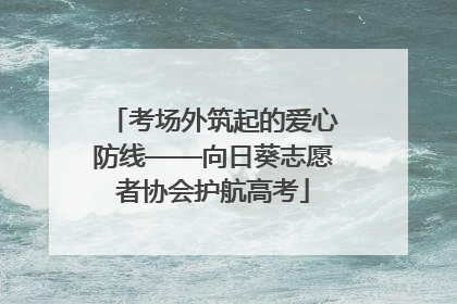 考场外筑起的爱心防线——向日葵志愿者协会护航高考
