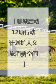 聊城启动12项行动计划扩大文旅消费空间