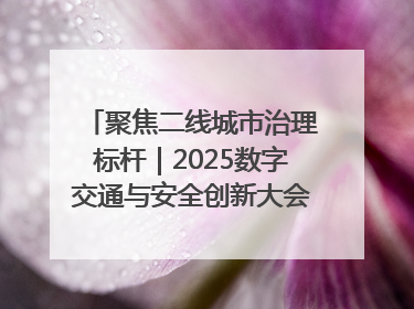 聚焦二线城市治理标杆｜2025数字交通与安全创新大会在保定隆重开幕