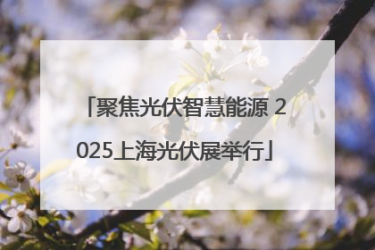 聚焦光伏智慧能源 2025上海光伏展举行