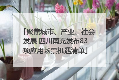 聚焦城市、产业、社会发展 四川南充发布83项应用场景机遇清单