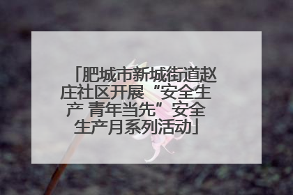 肥城市新城街道赵庄社区开展“安全生产 青年当先”安全生产月系列活动