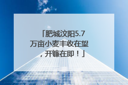 肥城汶阳5.7万亩小麦丰收在望，开镰在即！