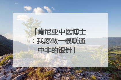 肯尼亚中医博士：我愿做一根联通中非的银针
