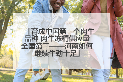 育成中国第一个肉牛品种 肉牛冻精供应量全国第二——河南如何继续牛劲十足