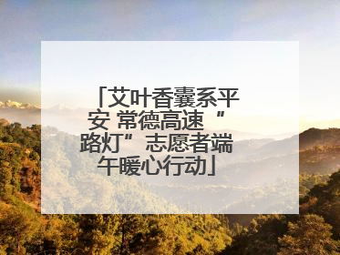 艾叶香囊系平安 常德高速“路灯”志愿者端午暖心行动